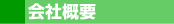 ЊTv